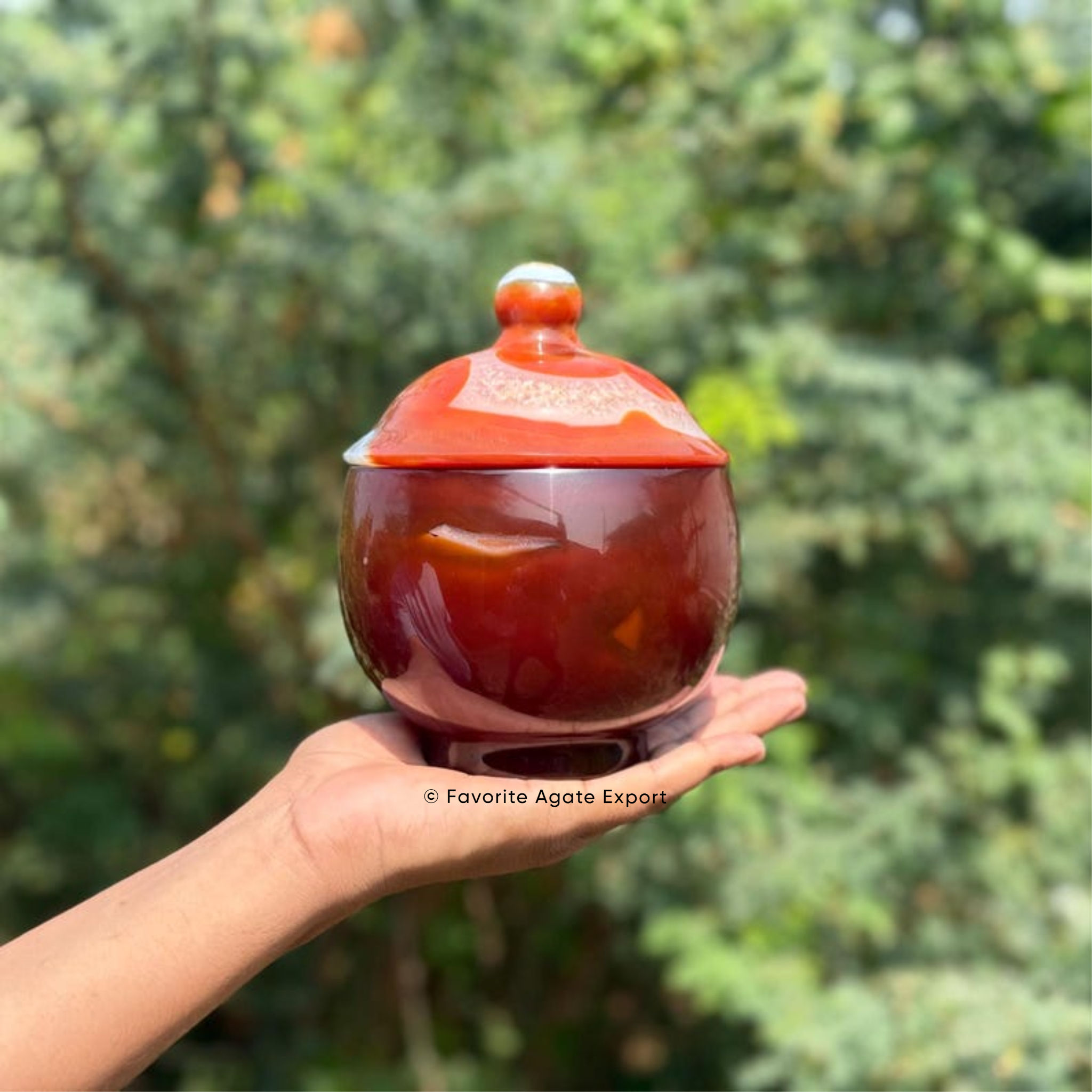 ภาพที่แสดง