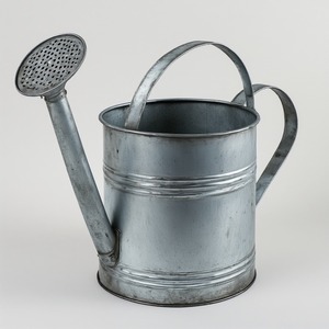 Regadera Multiusos de Metal Galvanizado Diseñada para Uso Doméstico, en Jardines y Agrícola - Product Image 4