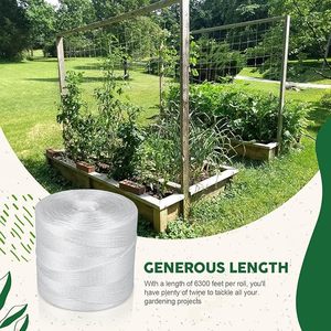 Ficelle de serre durable résistante aux UV Croissance optimale des plantes Support et treillis Emballage Cordes Couleur verte - Product Image 3