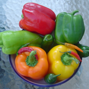 ขายส่งข้าวโพดแช่แข็ง | NON-GMO | ส่งออกจำนวนมากจากเวียดนาม - Product Image 5