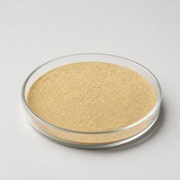 Extrait de levure de bière végétale de qualité alimentaire en poudre, exporté directement de l'usine, complément alimentaire