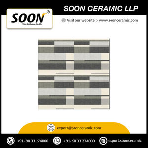 Azulejos de estacionamiento de porcelana resistente 16X16 pulgadas para espacios al aire libre Azulejos de piso de diseño antideslizantes y duraderos - Product Image 2