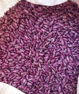 Haricots rouges de qualité supérieure et haricots rouges mouchetés, haricots secs de haute qualité, vente en gros, exportation Brésil, durée de conservation de 2 ans - Product Image 2