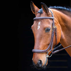 บังเหียนแบบทหารม้าทำจากหนังแท้อุปกรณ์สำหรับขี่ม้าหนังแท้ - Product Image 1