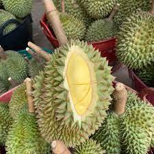 Durians frais de Thaïlande triés sur le volet parfaitement mûrs avec une saveur tropicale exotique crémeuse Meilleur du goût de la Thaïlande - Product Image 3