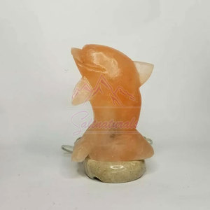 Bon prix forme de dauphin élégant 100% lampe au sel de l'Himalaya naturel nouveau Stock Style d'amour élégant lampe au sel de l'Himalaya - Product Image 6