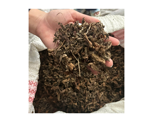 พุดดิ้งเยลลี่หญ้าแห้งแบบอร่อยใบวุ้นหญ้าแห้งสีดำสำหรับ milktea-ใบวุ้นหญ้าดำจากเวียดนาม - Product Image 5