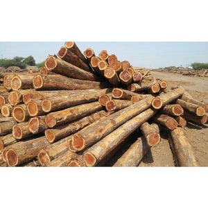 Bois scié de mélèze occidental / canadien et européen - Product Image 4