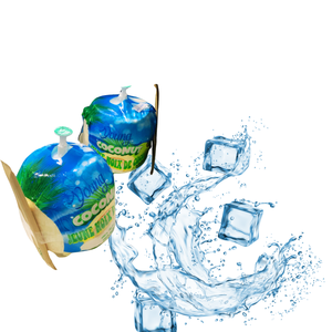 Noix de coco fraîche vietnamienne produit agricole naturellement rafraîchissant - Product Image 1