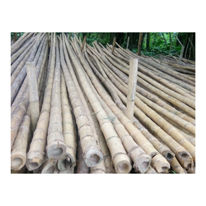 Poteau en bambou naturel du Vietnam avec taille personnalisée pour l'agriculture, poteaux en bambou naturel pour la décoration de jardin - Product Image 1