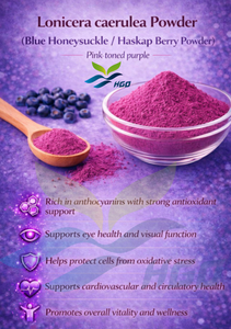 HGO Fournisseur direct d'usine de poudre de Lonicera caerulea pure naturelle de qualité alimentaire, poudre de fruits ou de légumes - Product Image 2