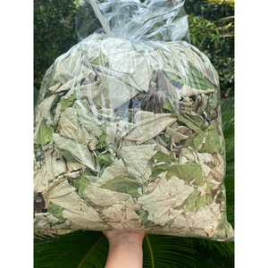 ใบ nelumbo nucifera แบบแห้ง/แพ็กมาอย่างสะอาด/เหมาะสำหรับใส่ชา - Product Image 1