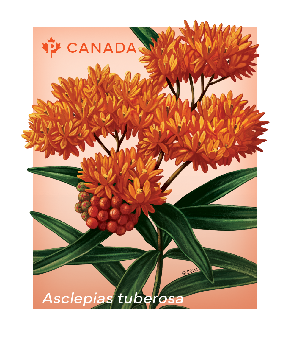 Wholesale Christmas Canada Post Stamps Sticker Bill Stamp Roll Canada Flower Stamps Vintage Canadian Postage Stamps Stickers Set