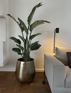 กระถางต้นไม้โลหะทรงกลมสำหรับตกแต่งสวน เหมาะสำหรับพื้นที่ขนาดเล็ก เช่น ระเบียงอพาร์ตเมนต์ หรือทางเข้าสำนักงาน เพิ่มความเขียวขจี - Product Image 6