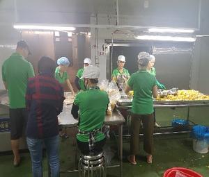 Durian congelado orgánico vietnamita 500 gramos fruta fresca irradiada que cumple con los estándares EUR1 para productos agrícolas - Product Image 4