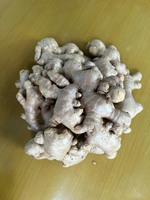 Gingembre frais de haute qualité 100g et plus, brun-jaunâtre, pour la cuisine, origine Vietnam