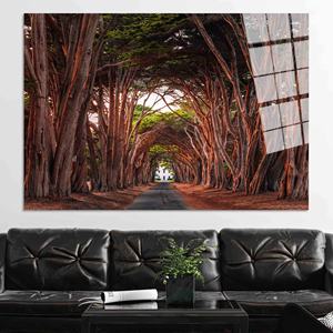 Obra de arte impresa en lienzo: Túnel de cipres con vista costera de California, arte en vidrio templado - Product Image 1