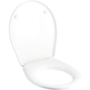Geberit RENOVA COMPACT Couvercle de toilette en acier inoxydable blanc avec charnières GEBERIT - Product Image 1