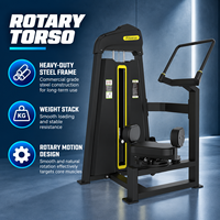 BN Premium Pin Weight Selectorized Gym Equipment for Core Obliques Training Torso Rotation Machine