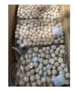 Coffee Pet Chew Stick <b>for</b> <b>Dogs</b> Made of Coffee Wood From 99 Gold Data, Natural Coffee Wood Pet Chew Sticks <b>For</b> Export - Product Image 3