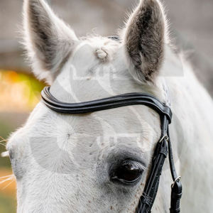 Brida para Caballo de Cuero PU de Alta Calidad con Hebillas, Cómoda, Duradera, con Logotipo Personalizado, Ajustable, con Acolchado Suave para Montar - Product Image 2