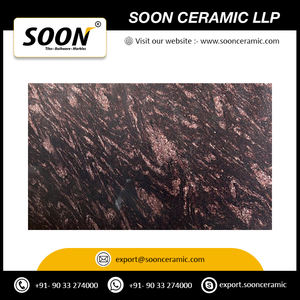 Granito Paradigo marrón de calidad de exportación India para aplicaciones de suelos y paredes interiores exteriores Losa de granito de gama alta - Product Image 2