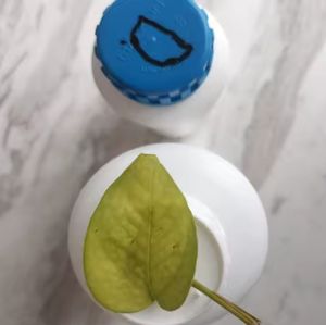 Matière première principale de précurseur de vente chaude et poudre jaune CAS 1119 fournisseur de la Chine - Product Image 4