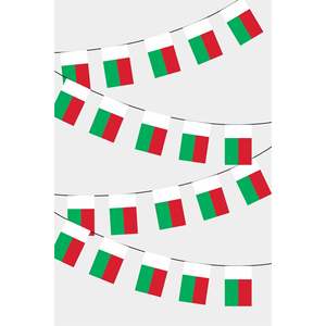 Guirlande de drapeaux rectangulaires en polyester imprimés numériquement de Madagascar pour l'affichage automobile, l'assurance, l'éducation - Product Image 1