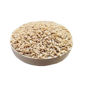 Wholesale Supplier Of Bulk Fresh Stock of <b>Organic</b> <b>Oats</b> Grains - Product Image 2