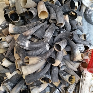 Meilleure vente d'artisanat maison Buffalo tasse corne rasage bol moussant rasage savon tasse bols tasse à boire fabriqué en inde - Product Image 3