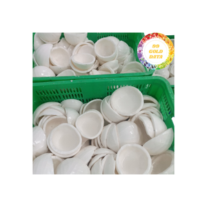 Noix de coco congelée d'origine vietnamienne - Emballée dans des sacs PE ou sous vide pour une logistique à chaîne du froid efficace et l'expédition à l'exportation - Product Image 1