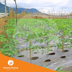 Película de Cobertura Agrícola Premium para Camas de Cultivo, Disponible en Colores Transparentes y Personalizados para Uso en Campos - Product Image 2