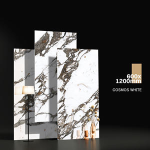 Proveedores indios La fabricación de baldosas impresas de cerámica más barata de China en India para villas grandes de lujo. - Product Image 1