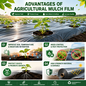 Cubierta de Suelo Compostable para Agricultura, Plástico Anti-UV Plateado y Negro, Película de Plástico para Mulching de 30 Micras para Plantación - Product Image 6