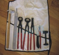 Nouveauté : Kit d'outils de maréchal-ferrant en acier inoxydable – Pince à sabots, coupe-ongles, râpe, instrument vétérinaire de sécurité pour chevaux