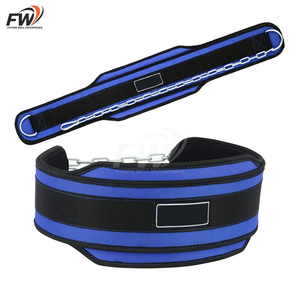 Cinturón de Dips de Alta Resistencia con Impresión de Logotipo Personalizado Disponible, Cinturón de Levantamiento de Pesas con Cadena de Acero para Dips y Dominadas - Product Image 1