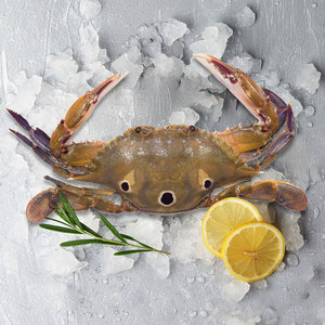 อาหารทะเลปู3จุดแช่แข็งมาตรฐานส่งออกผู้จัดจำหน่ายขายส่ง - Product Image 1