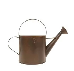 Style nordique Métal Bronze Arrosoir Top Tendance Maison Jardin Plantes Ingénierie Pot Fournisseur Indien Top Tendance Boîtes En Métal - Product Image 1