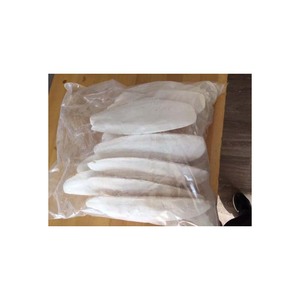 Os de seiche pour les routines de soins d'oiseaux disponibles à des tarifs avantageux - Product Image 6