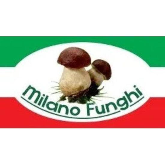 MILANO FUNGHI SRL logo