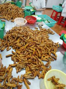 Plátano seco natural entero textura dulce y suave plátano seco de Vietnam para exportación de Aperitivos en envasado al vacío - Product Image 2