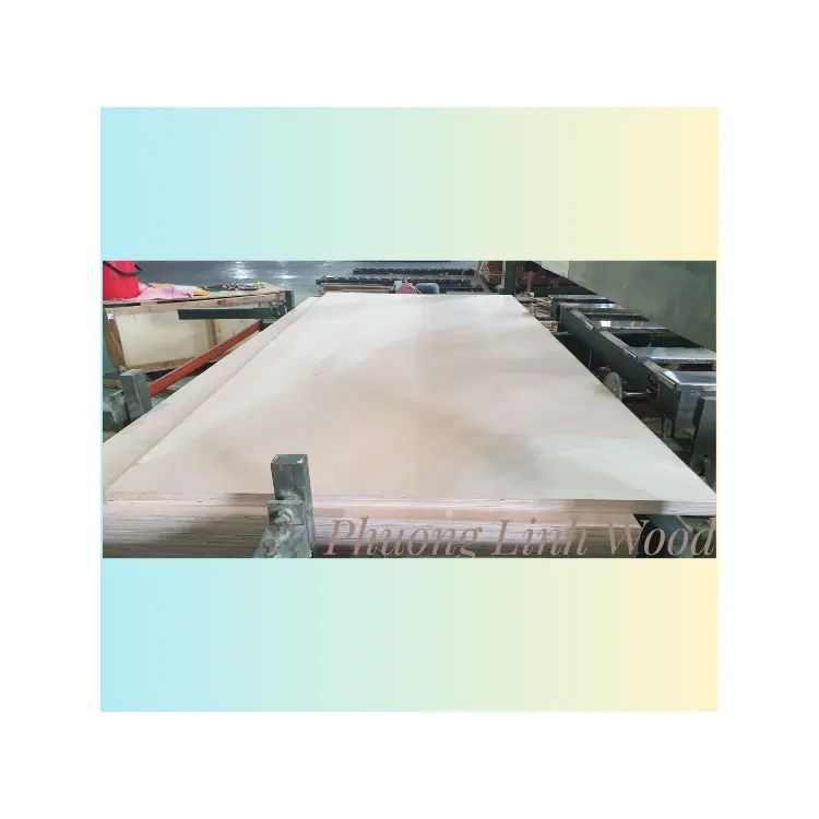 Film Faced Plywood For Building Low MOQ Plywood Sheet 18Mm Use In Construction Used For Diversity Purposes Customized Packaging