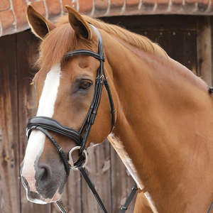 Anatomic Grackle Bridle Freeway MonoCrown Figura mexicana 8 ROSE GOLD PATENT Horse Snaffle Leather Brida Fabricante Anatomic - Product Image 4