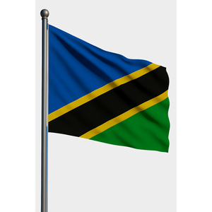 Custom Silk Pennant <b>Flag</b> with Digital Printing Aluminum <b>Pole</b> <b>for</b> Automotive Insurance Education Travel Agency - Product Image 1