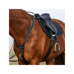 Caballos ecuestres de último diseño, la mejor calidad, a precio asequible en la India - Product Image 5