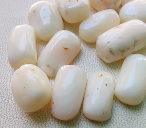 ปะการังสีขาวปะการังธรรมชาติมีค่าสีขาวปะการังสีขาวรูปไข่ปะการังญี่ปุ่นสีขาวสำหรับทำเครื่องประดับ - Product Image 1