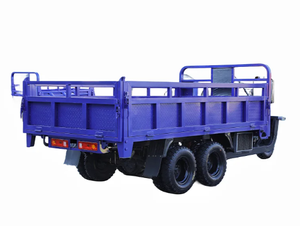 Лидер продаж: 9-колесный бензиновый грузовой трицикл (250, 300, 350 куб. см) для промышленного использования, OEM/ODM, DIY - Product Image 2