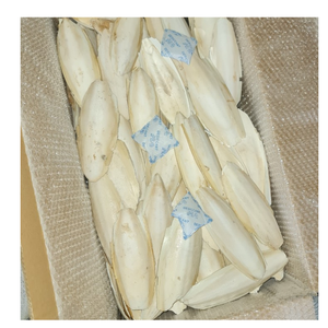 Tẩy Trắng Mực Xương Việt Nam Nhà Cung Cấp Giá Tốt Trắng Sáng Cho Chim, Vẹt - Product Image 3