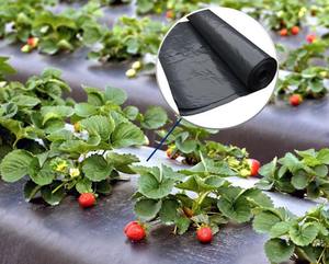 Film de paillage agricole en plastique de type extrusion, moulé par rouleaux, CENPLAS du Vietnam, haute performance - Product Image 1