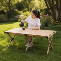 Table pliante de pique-nique de plage en acier inoxydable, portable et légère